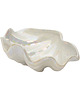 miski i misy Popielnica, misa muszla ceramiczna Shorter & Son, Anglia, lata 70. 2