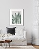 grafiki i ilustracje Agave / Fine art Print 1