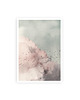 plakaty birds vintage fotografia plakat 2