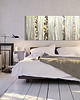 obrazy Nowoczesny obraz na płótnie Brzozowy Las 147x60cm 02148 2