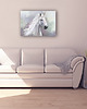 obrazy Obraz - Biały koń - wydruk na płótnie 2