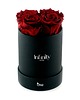 dekoracje świąteczne Czerwone wieczne róże średni czarny flower box Infinity Rose - Royal Red 2