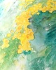 obrazy Akwarela Kwiaty mimosy oryginalny obraz 300g A3 30x42 cm 2