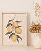 plakaty Plakat cytryny 2