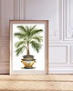 plakaty ZESTAW PLAKATÓW botanicznych palma zielone rośliny 2
