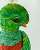 lampy stołowe Bird Quetzal named Patrisius 3