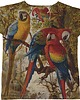 t-shirt damskie Colfair T-shirt - Parrots 1