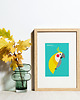 plakaty Plakat_Cockatiel 1