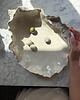 talerze, miski Ceramiczna Patera Handmade na Ciasta Owoce Przekąski Ostryga 5