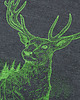 t-shirty męskie Koszulka męska JELEŃ SZLACHETNY grafitowa - 2