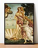plakaty Plakat Fine Art giclee kolaż ZAWSTYDZONA WENUS 3