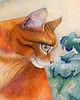 plakaty Plakat Il gatto 2