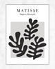 plakaty Zestaw 3 plakatów Elegance of gray Matisse style 4