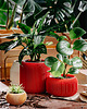 doniczki Średnia doniczka 71P03.500.RED / eko / zero waste / minimalizm 1