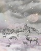 plakaty Plakat MY DEER 5