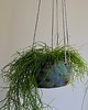 doniczki Doniczka Eccentric Plant wariant do powieszenia 3