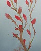 obrazy Akwarela Kwiaty oryginalny obraz niebieski papier 10,5x22 cm 2