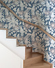 tapety i naklejki ścienne Tapeta Kakadu Blue. Charming. Granatowa Papuga 2