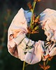 gumki do włosów Scrunchie 6