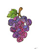 grafiki i ilustracje 83 Winogrono 1