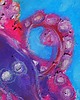 obrazy Ośmiorniczka obraz pastela olejna 15x15 cm 2