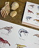 kartki okolicznościowe - wydruki Krewetki- Prawns- Kartka- Grafika- Ilustracja 3