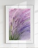 obrazy Oryginalna akwarela. Lawenda A4 1