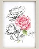 grafiki i ilustracje Róże -grafika w oprawie 2