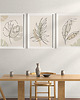 plakaty Zestaw 3 stylowych plakatów w stylu Boho, rośliny, monstera, line art. 5
