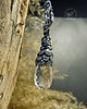 wisiory Frosty Forest 3