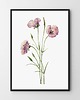 plakaty Plakat Delikatny  1