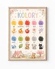 obrazy i plakaty do pokoju dziecięcego Plakat edukacyjny KOLORY dla dziewczynki 1