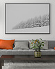 plakaty Plakat Zimowe sosny - zima - sosny 3