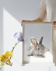 plakaty DWA PLAKATY do pokoju dziecka KRÓLIK ZAJĄC Wielkanoc 1