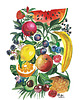 plakaty Plakat Owoce 1