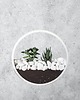 doniczki Circle planter "S" - dekoracja ścienna 1