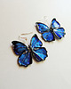 kolczyki - inne Kolczyki Motyle Kobaltowe 1