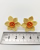 kolczyki z masy plastycznej Kolczyki sztyfty żółte narcyzy handmade stal nierdzewna 2,5 cm 1