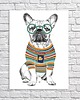obrazy OBRAZ NA PŁÓTNIE -  60x80 BULLDOG HIPSTER 1
