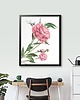 grafiki i ilustracje Piwonie 50x70 - grafika botaniczna 1