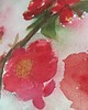 obrazy Akwarela Czerwony kwiat oryginalny obraz A5 21x15 cm 3