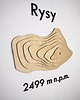 Ozdoby na ścianę DEKORACJA ŚCIENNA mapa hipsometryczna RYSY 3