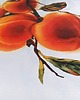 obrazy "Kaki" 36*48cm/ akwarela 2