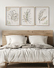 plakaty Zestaw 3 stylowych plakatów w stylu Boho, rośliny, monstera, line art. 4