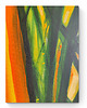 obrazy Obraz na zamówienie kupującego - Dżungla - 60x60 cm 5