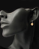 kolczyki swarovski Kolczyki Swarovski BRILLIANT - Golden Shadow Rondelles 2