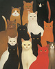 plakaty Plakat - Kitten overload 1 2