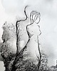 grafiki i ilustracje Grafika 21X30 malowana ręcznie na papierze 2
