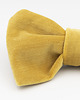 muszki i krawaty Mucha Elegant Off Yellow 1
