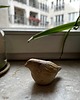 figurki i rzeźby Ptaszek ozdobny 1